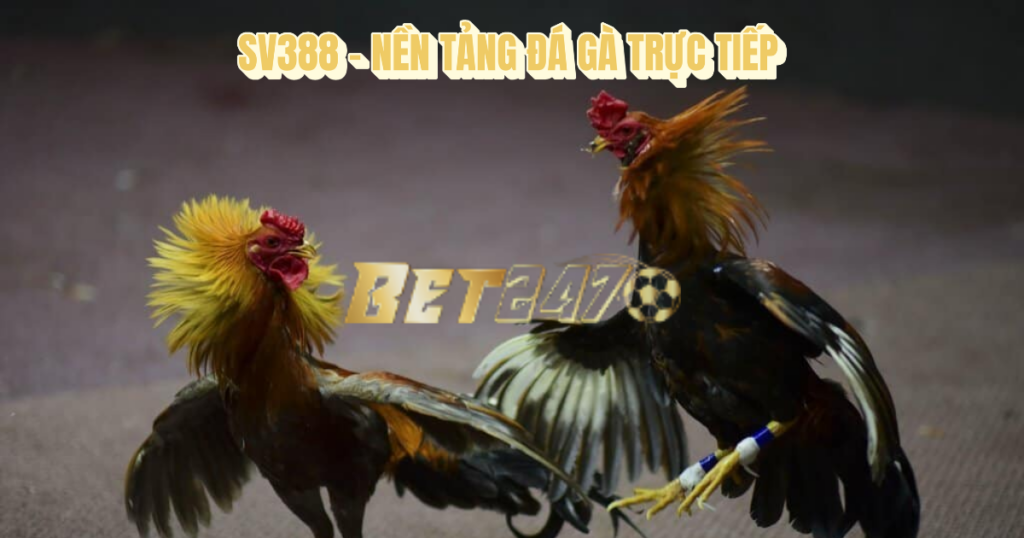 đá gà trực tiếp