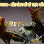 đá gà trực tiếp