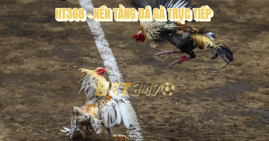 đá gà trực tiếp