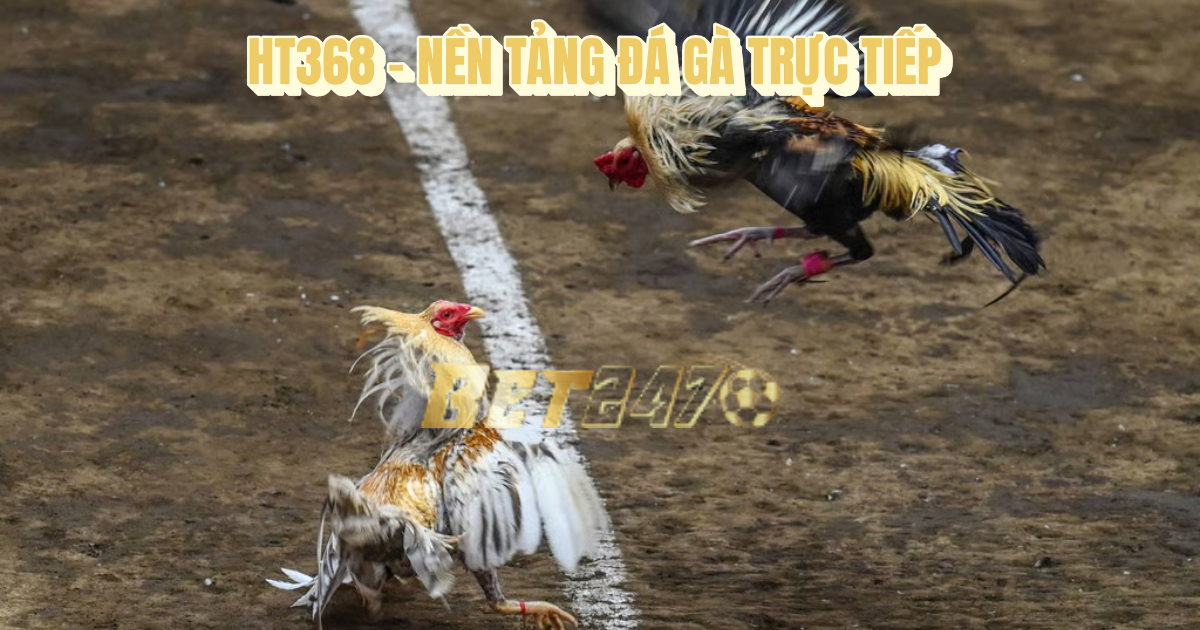 đá gà trực tiếp