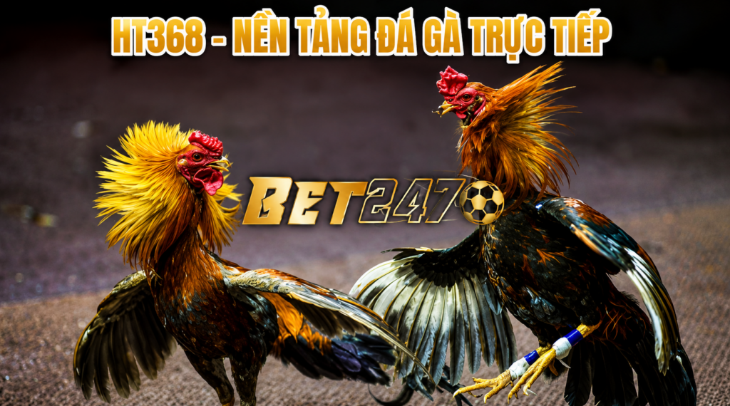 HT368