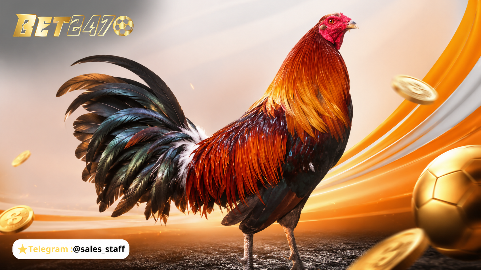 SV388 NỀN TẢNG ĐÁ GÀ ONLINE TẠI BET247 THEO TRƯỜNG ỔN ĐỊNH GIẢI ĐẤU